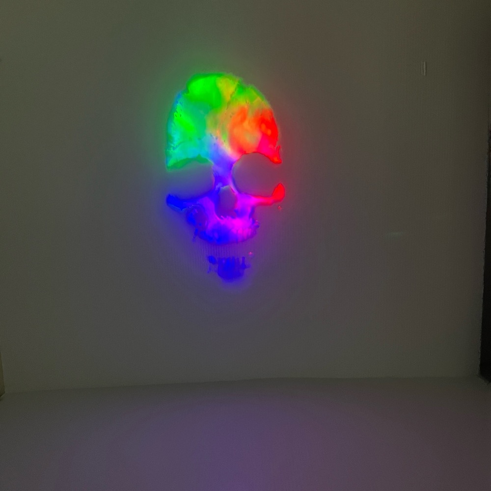 Holiday living/Gemmy Fire and Ice Halloween Indoor Specter Projector